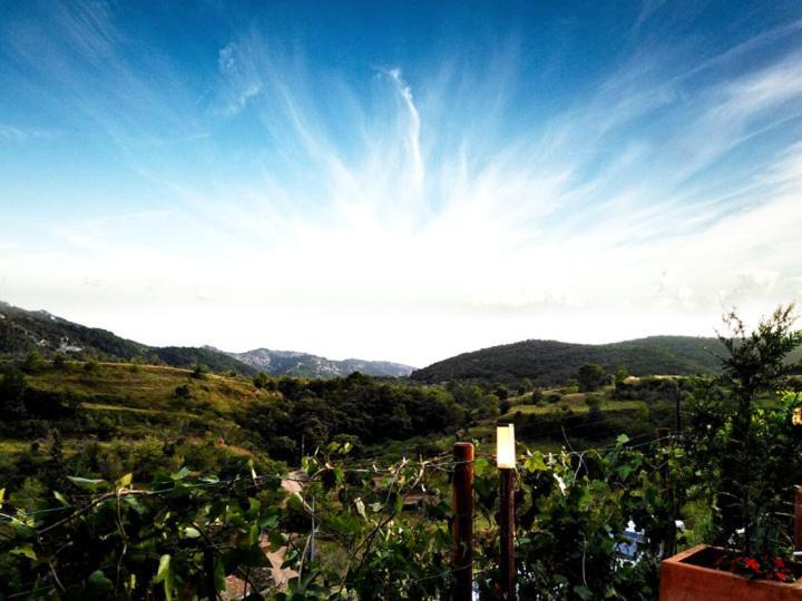 Hotel La Tinensa Puebla de Benifasar Esterno foto