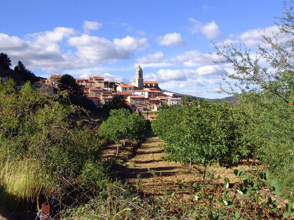 Hotel La Tinensa Puebla de Benifasar Esterno foto